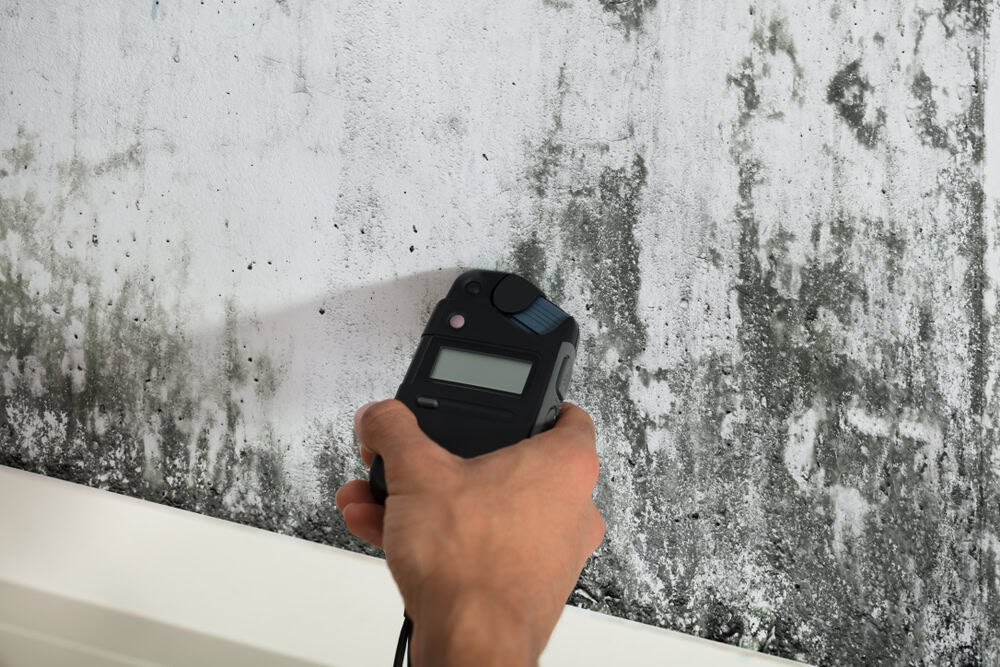 Detecting moisture levels on a mold-infested wall—time to address the damage!