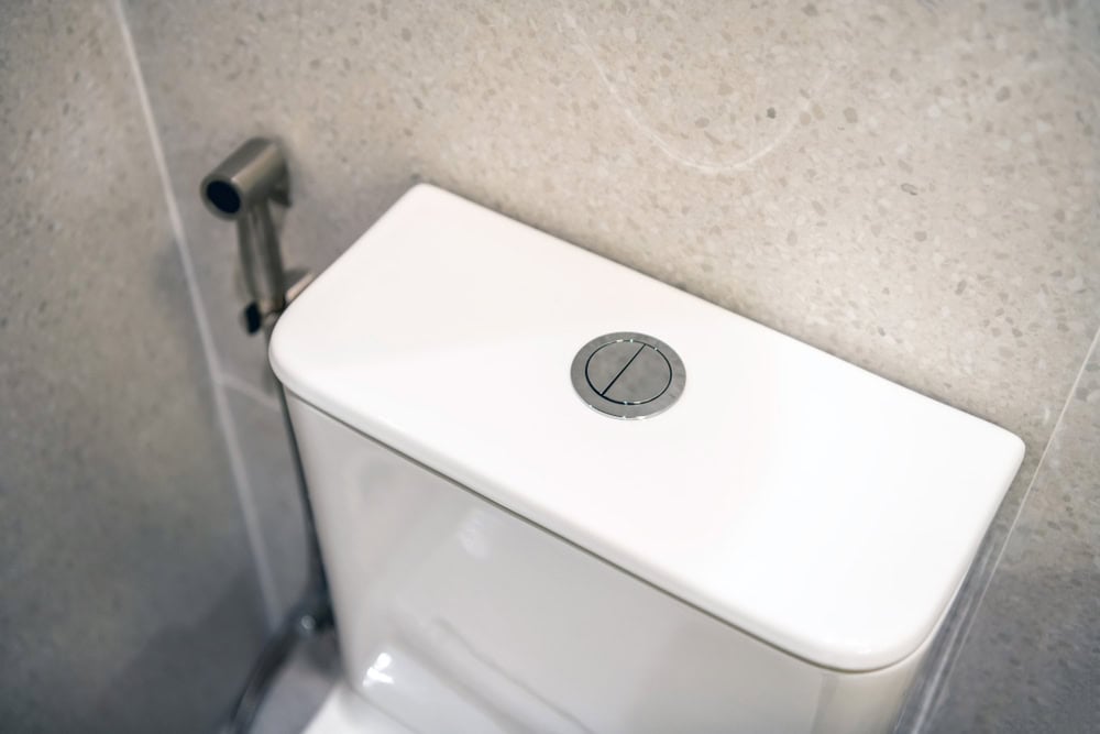 Modern bathroom with a sleek, white toilet featuring a dual-flush button.