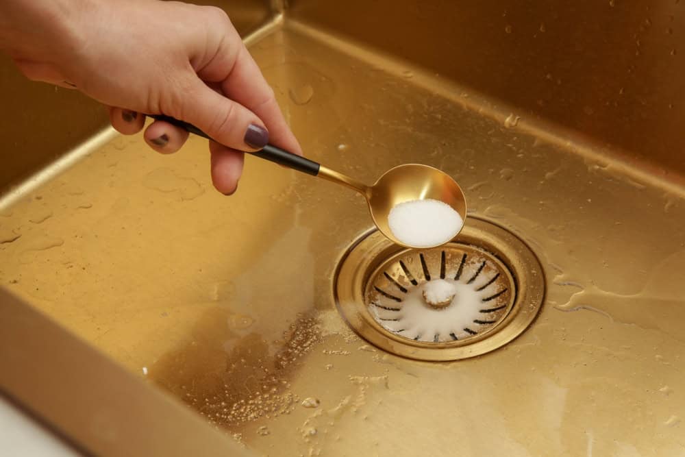 Pouring salt down the golden sink drain for a natural cleaning solution.