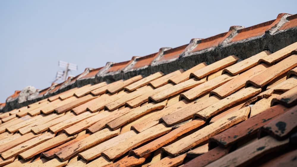 Weathered clay roof tiles basking in the sunlight, telling stories of time and resilience.