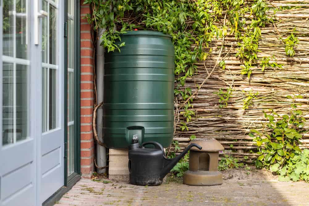 Eco-friendly backyard setup with a rain barrel, watering can, and lush greenery.