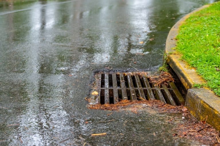 Rainwater flows into a storm drain on a wet, leaf-strewn road beside a grassy curb.