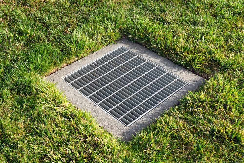 Storm drain grate set in a manicured lawn, blending infrastructure with green space.