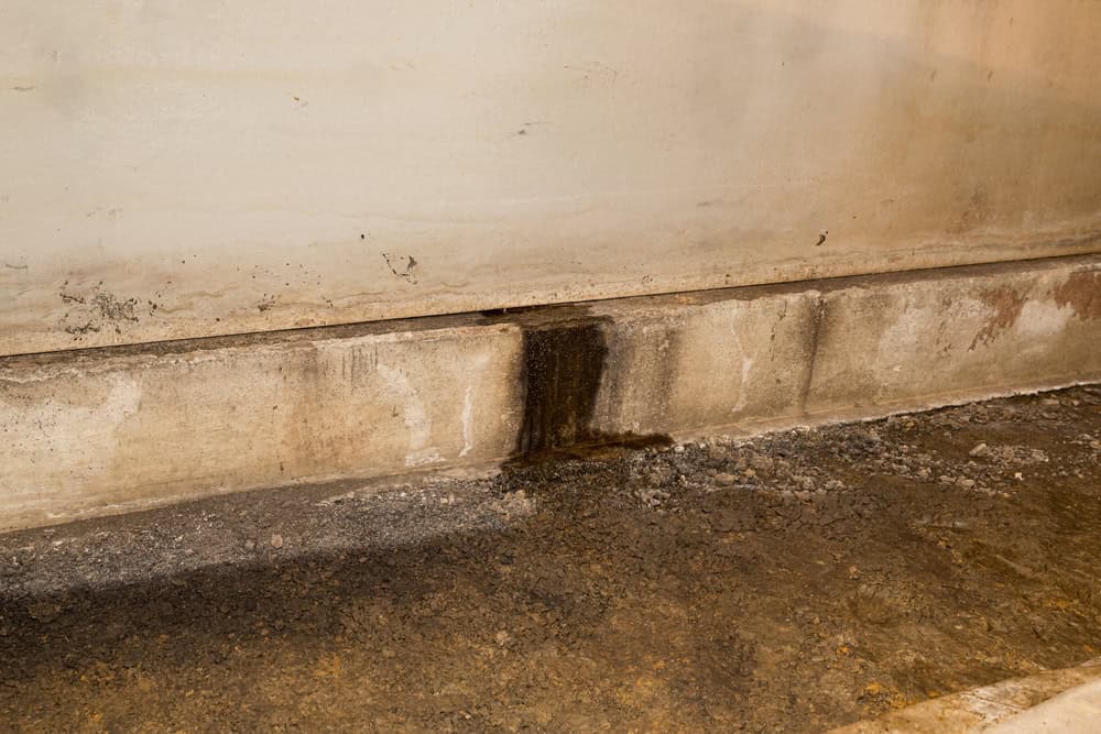 Water seepage through a concrete wall, causing stains and dampness.