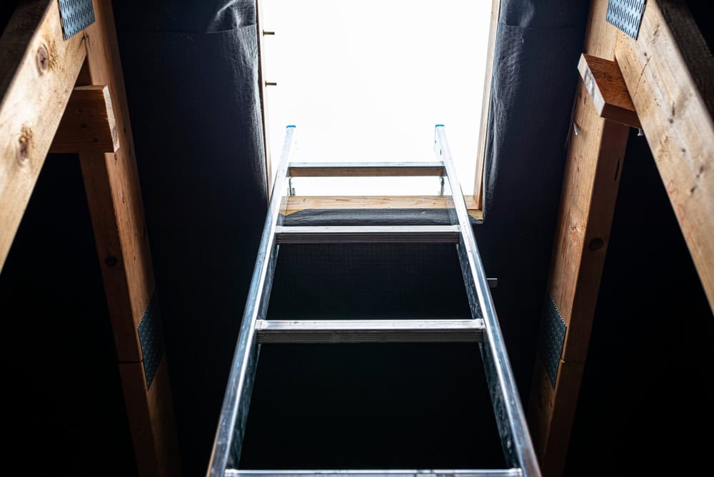 A ladder reaches skyward through a narrow attic opening, framed by exposed wooden beams and the promise of daylight above.