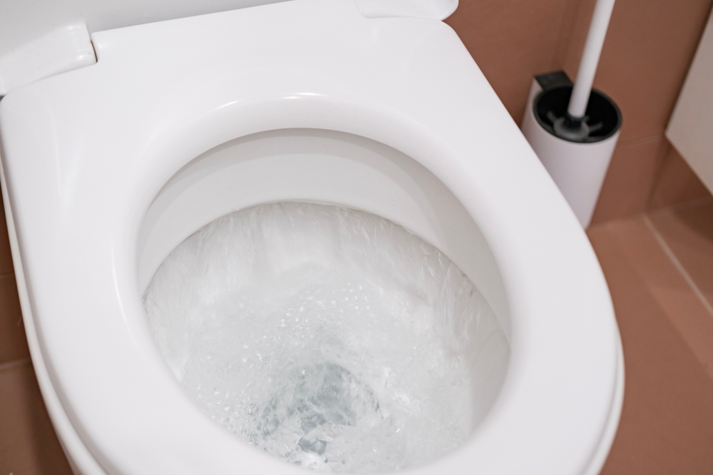 A clean toilet bowl with water swirling as it flushes, next to a toilet brush holder.