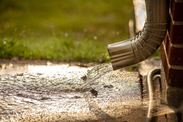 Rainwater gushes from a downspout onto a sunlit sidewalk.