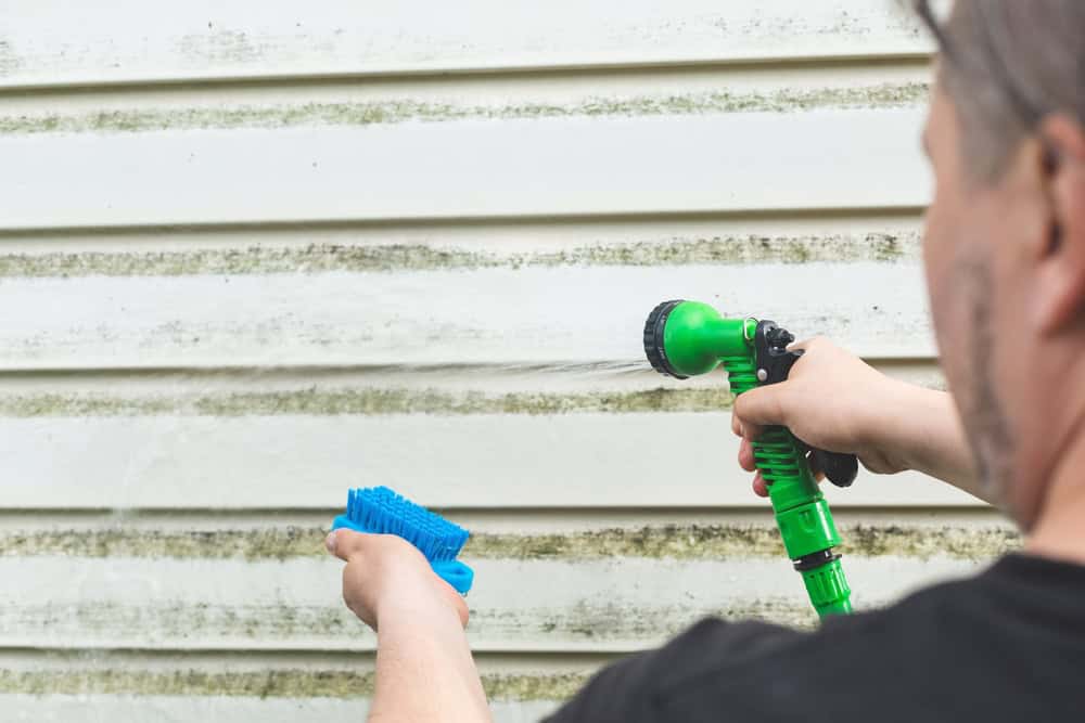 Cleaning the house siding with a hose and a scrub brush.