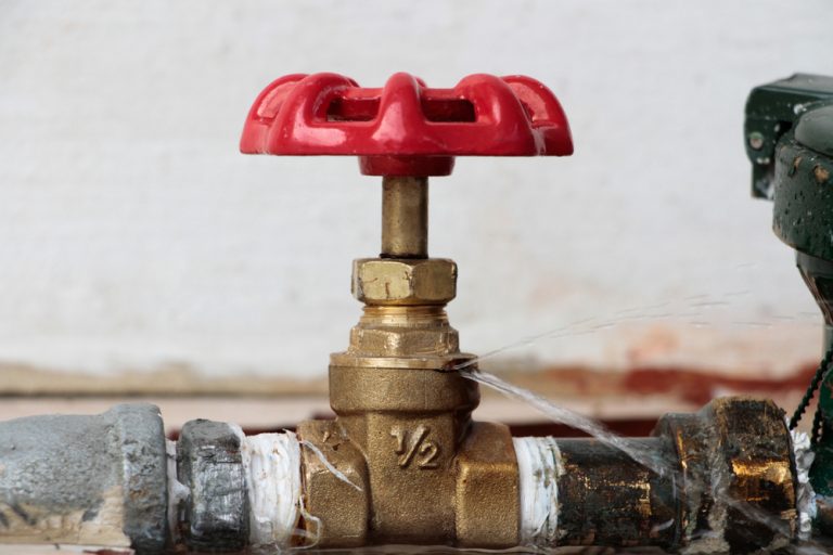 Leaking brass water valve with red handle shows signs of wear and pressure, highlighting urgent need for maintenance.