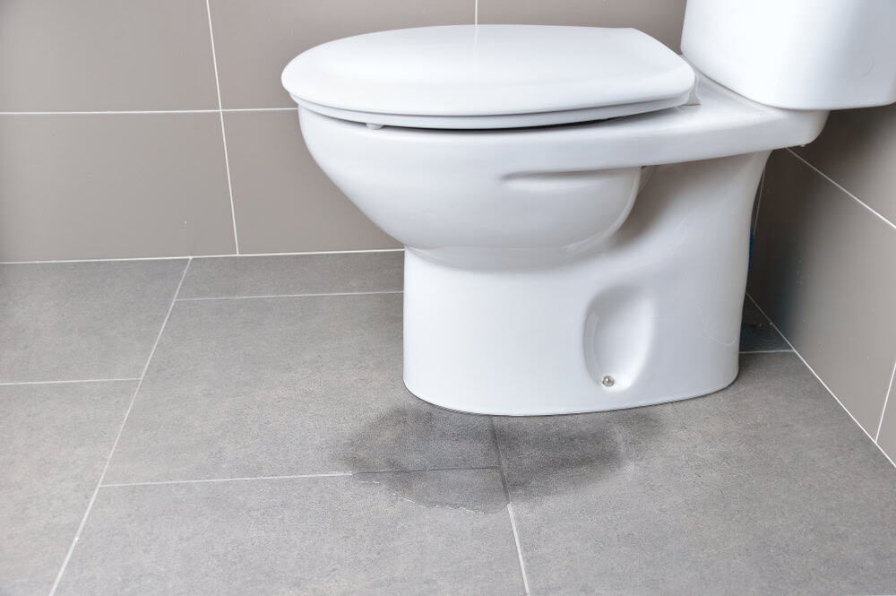 Water leak under toilet signals a plumbing issue.