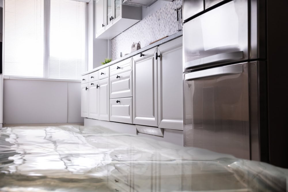 Flooded kitchen disaster: water covers the floor.