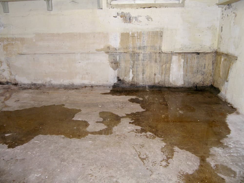 Water damage and mold stains mark this damp basement wall.