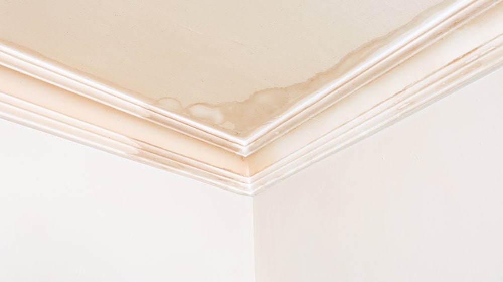 Water damage on ceiling corner reveals leak issues and the urgency for home repairs.