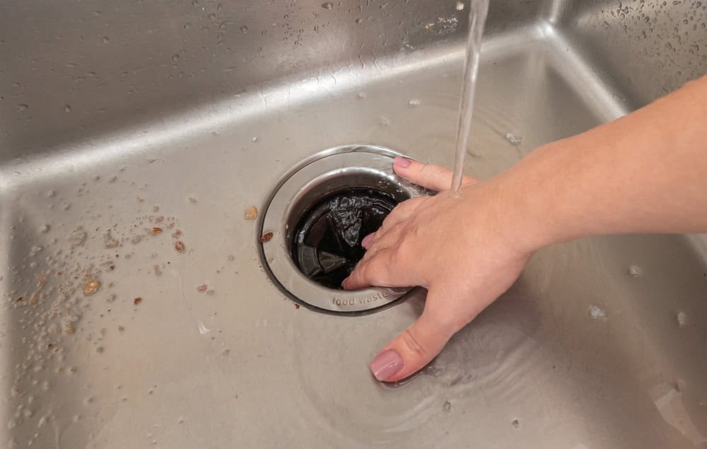 Clearing the kitchen sink drain, one piece of food waste at a time.
