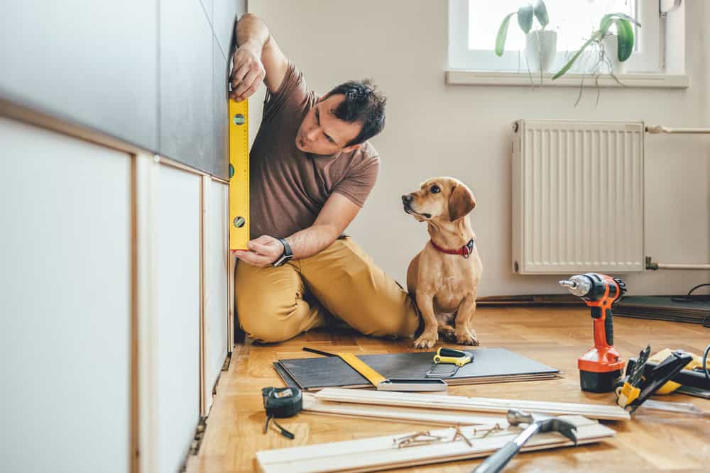 A man carefully measures a wall while his dog watches