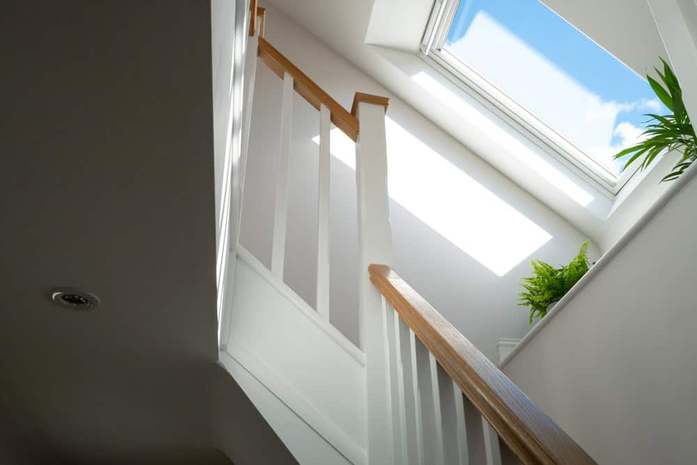 Sunlight streaming through a skylight, illuminating a modern staircase with lush green plants.
