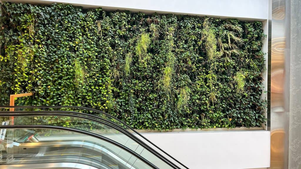 A lush indoor vertical garden covering a wall, featuring a mix of vibrant green plants and cascading foliage. The greenery adds a natural touch to the modern space, with reflective glass escalators positioned in the foreground. Subtle lighting enhances the overall aesthetic, creating a harmonious blend of nature and contemporary design.