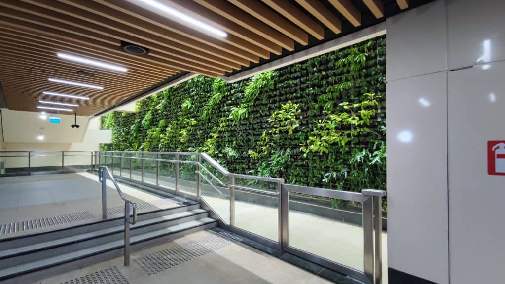 A modern indoor lounge area with vibrant blue armchairs and a lush green biowall featuring a variety of plants. The biowall enhances the space's aesthetics while promoting air purification. The room has a warm wooden floor, a sleek white wall, and overhead lighting.