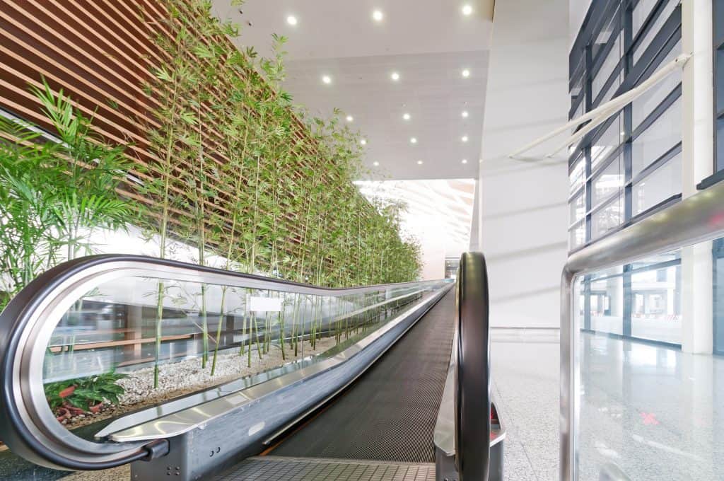 A vertical garden installed on an indoor wall, featuring dense, vibrant green foliage with a variety of plants, including trailing vines and softer textures. The garden is positioned beside glass escalators, blending natural elements with modern architecture in a sleek indoor environment. Warm lighting adds a subtle glow to the space.