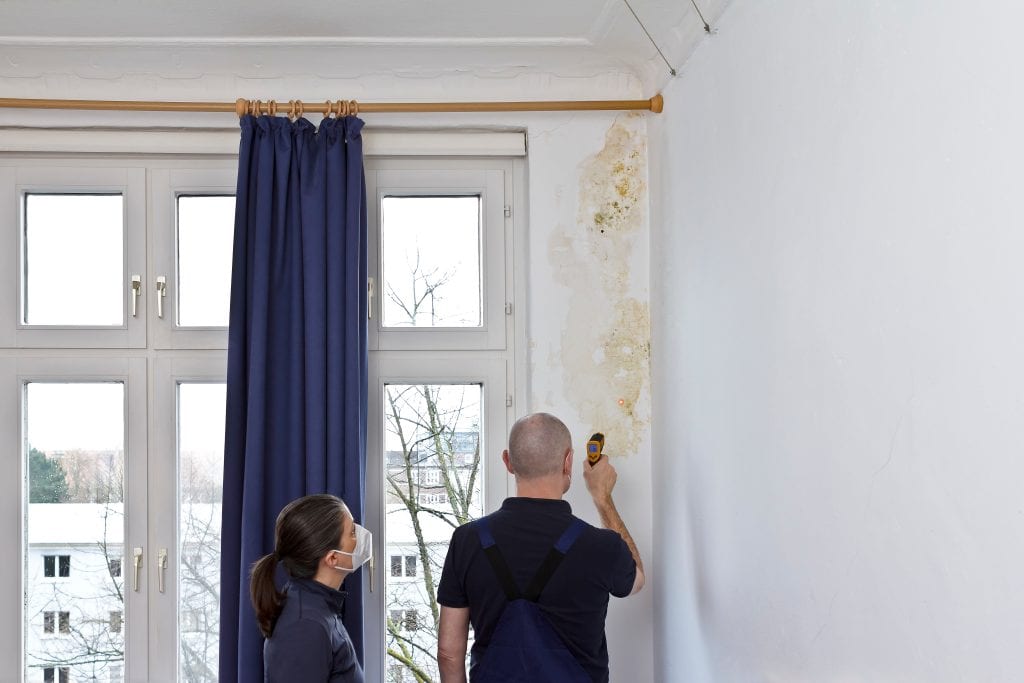 Two professionals inspect a damp and moldy section of a wall next to a window. One person uses a moisture meter while the other observes, wearing a protective face mask. The mold and water stains are visible, highlighting an indoor moisture problem.