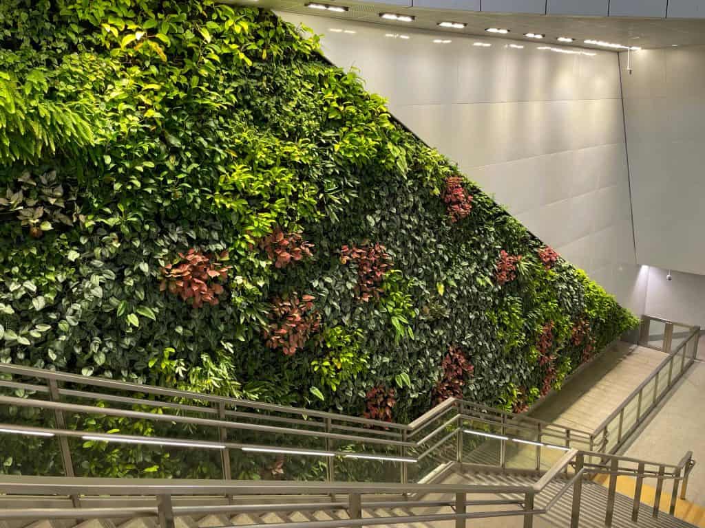 A vibrant indoor living wall covering an angled surface, featuring a variety of lush green plants accented with pops of red foliage. The biowall is illuminated by modern ceiling lights, creating a fresh and inviting atmosphere. Stainless steel railings and stairs in the foreground blend seamlessly with the natural and contemporary design.