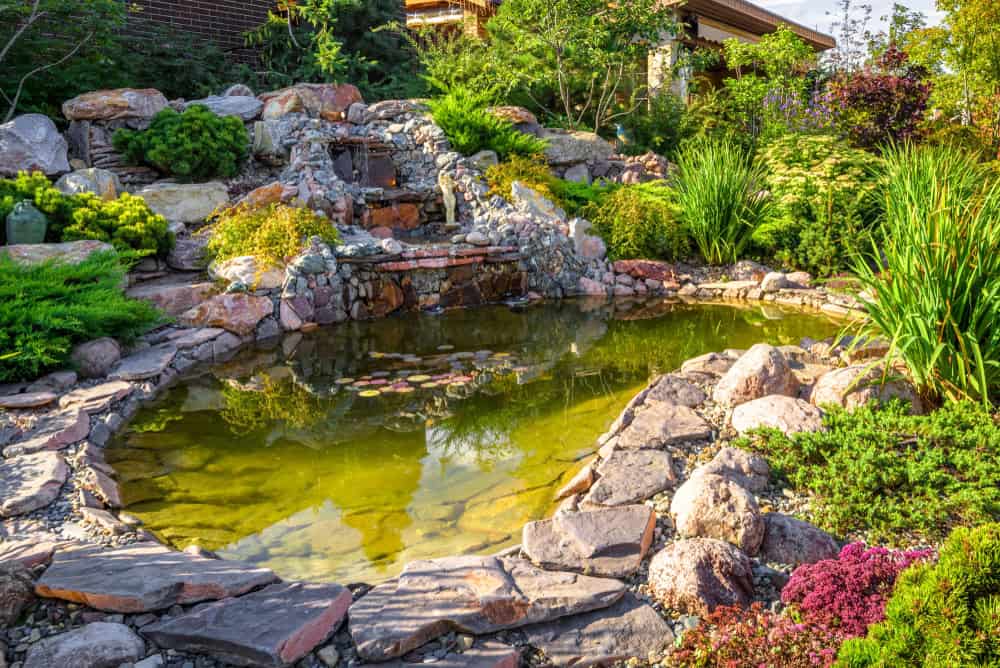 A serene garden pond with a charming waterfall, surrounded by lush greenery and vibrant flowers.