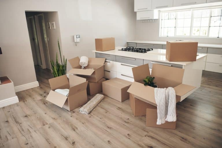Moving into a new home with boxes and plants.