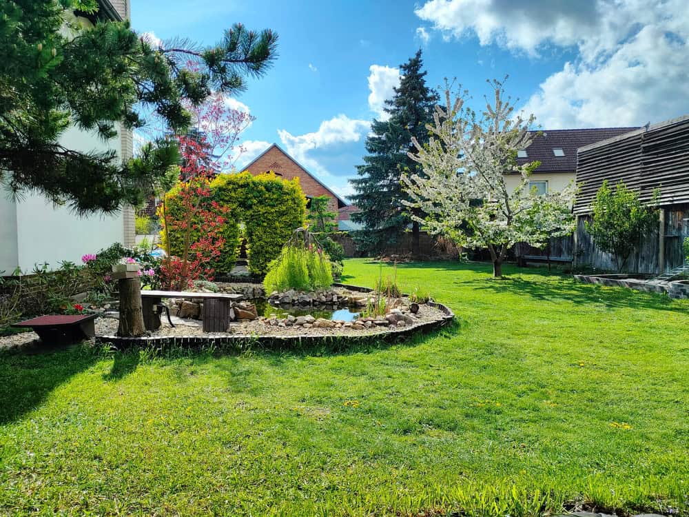Tranquil backyard oasis with blossoming trees, a koi pond, and rustic garden seating under the spring sun.
