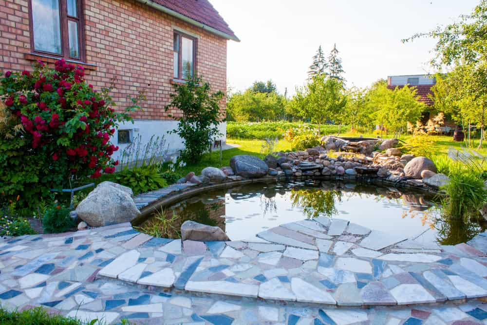 Charming countryside garden with a tranquil stone-lined pond, vibrant rose bushes, and a peaceful natural backdrop.