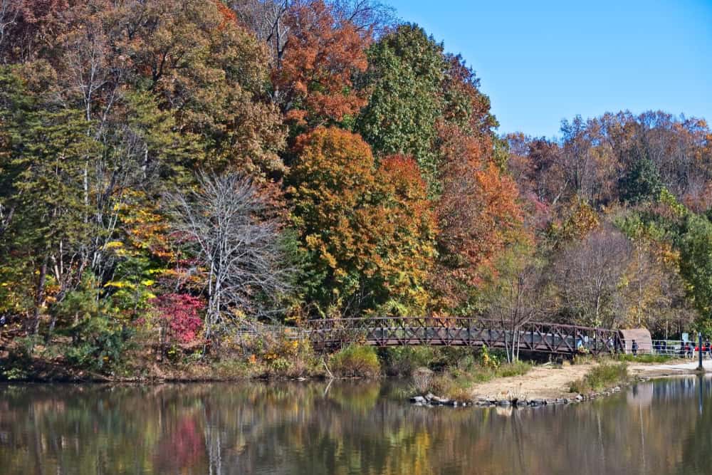 A vibrant autumn scene with a serene lake and a picturesque bridge surrounded by colorful foliage.