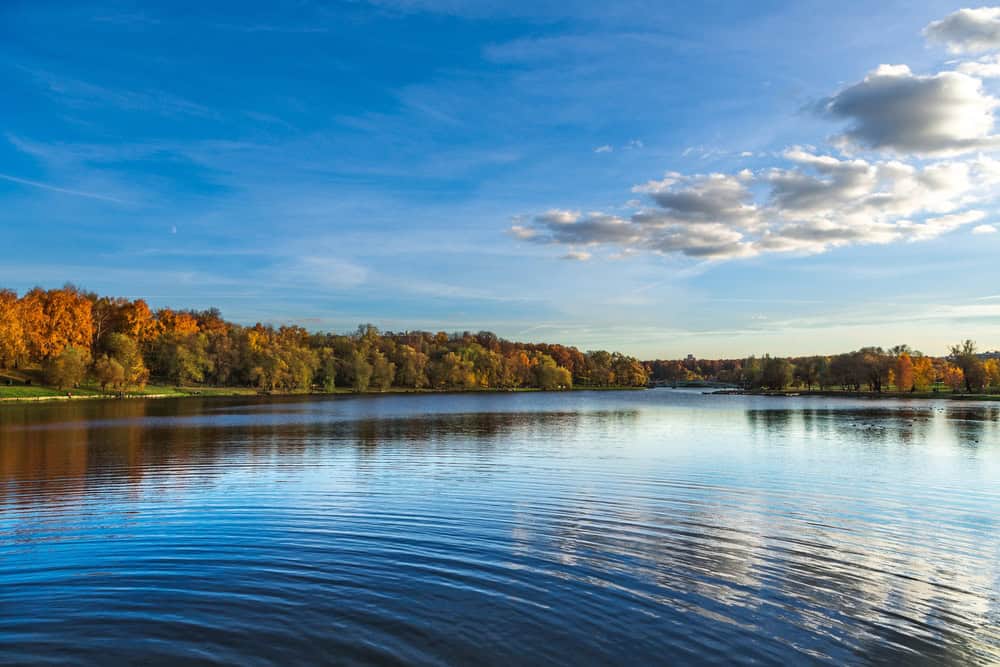Autumn reflections on a serene lake, surrounded by vibrant fall foliage.