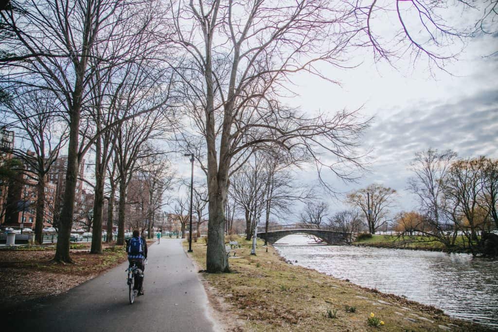 Peaceful bike ride along the river under a canopy of bare winter trees.