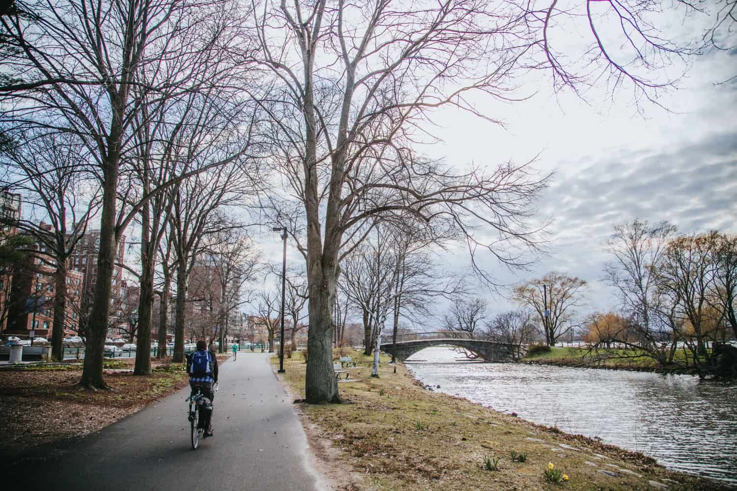Peaceful bike ride along the river under a canopy of bare winter trees.