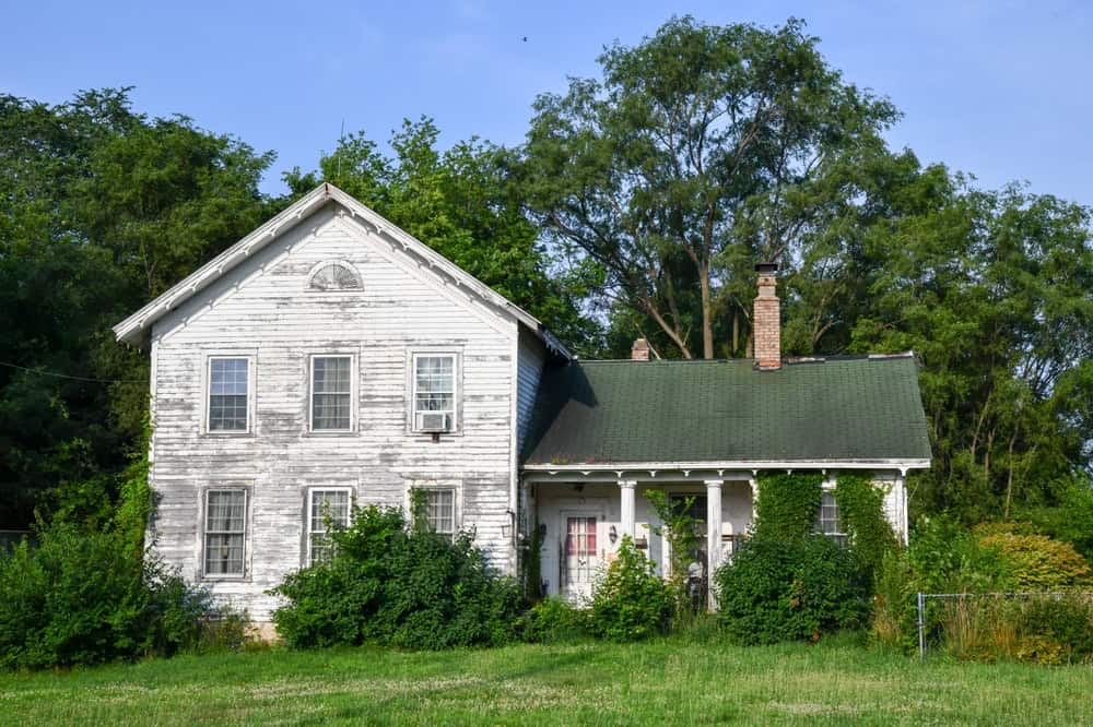 A charming, weathered white house nestled amidst lush greenery and towering trees.