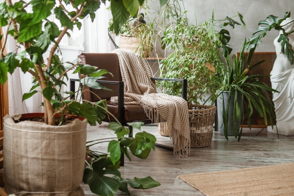 A cozy corner filled with lush greenery, a comfortable chair, and a woven blanket, creating a serene indoor oasis.