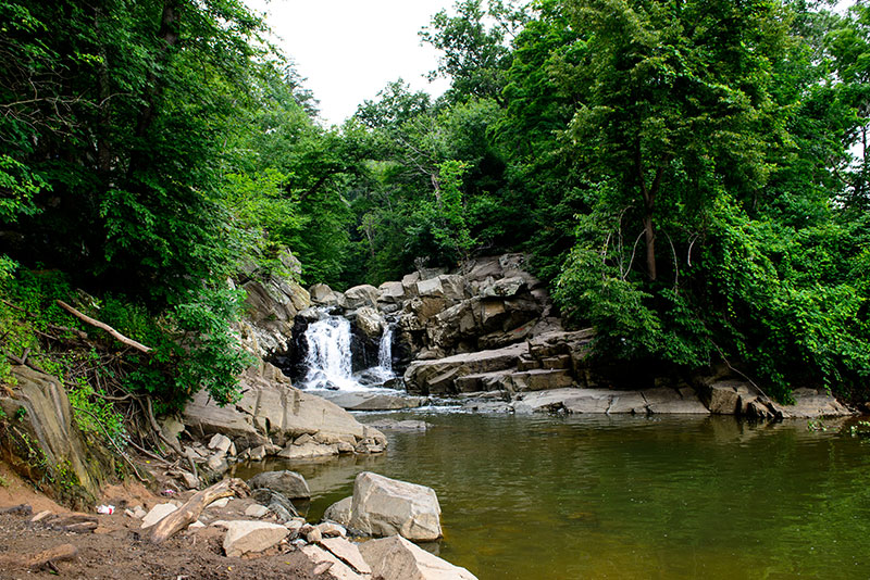 Scott's Run Nature Preserve