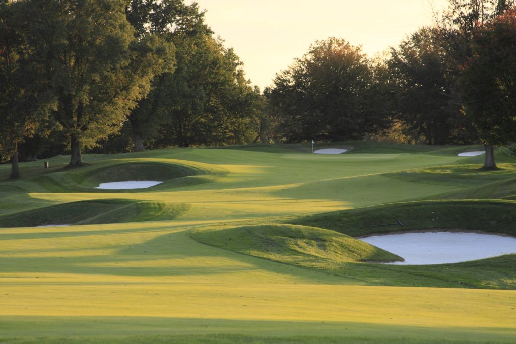 Challenging Greens: A picturesque golf course showcases undulating fairways, strategically placed sand traps, and pristine putting surfaces bathed in golden evening light.