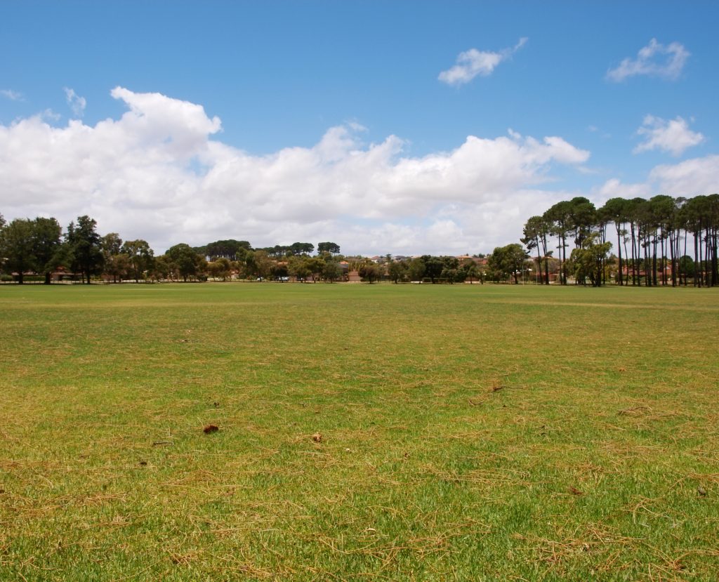 Wide open green field under a blue sky dotted with clouds, bordered by tall trees and distant buildings - a serene park landscape on a beautiful day.