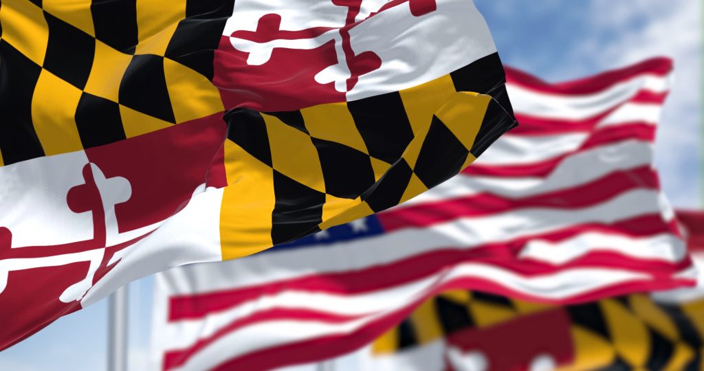 Waving proudly, the Maryland state flag stands vibrant against a backdrop of American flags.