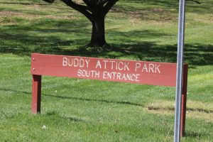 Buddy Attic Park