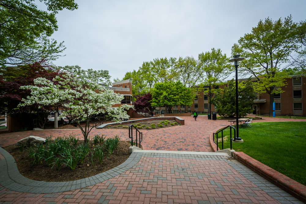 Scenic university campus courtyard in spring, with blooming trees, brick walkways, and landscaped gardens surrounded by academic buildings.