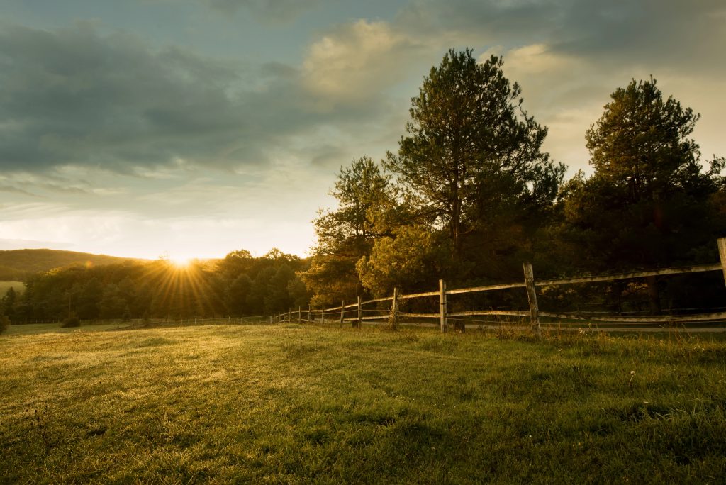 Golden hour at a serene countryside, where the sun sets behind a rustic wooden fence and lush trees.