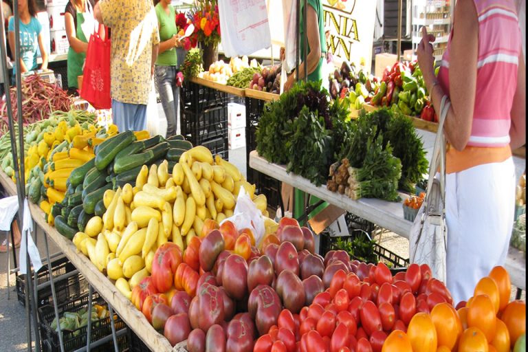 Vibrant freshness at the bustling farmer's market.