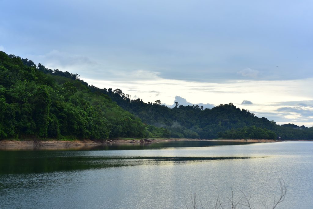 Serene tropical landscape with lush green forests reflecting on calm waters at dusk.