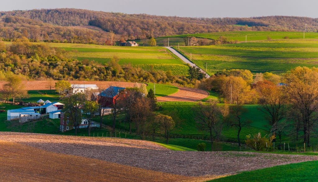 Rolling hills and vibrant fields embrace a tranquil countryside farm.
