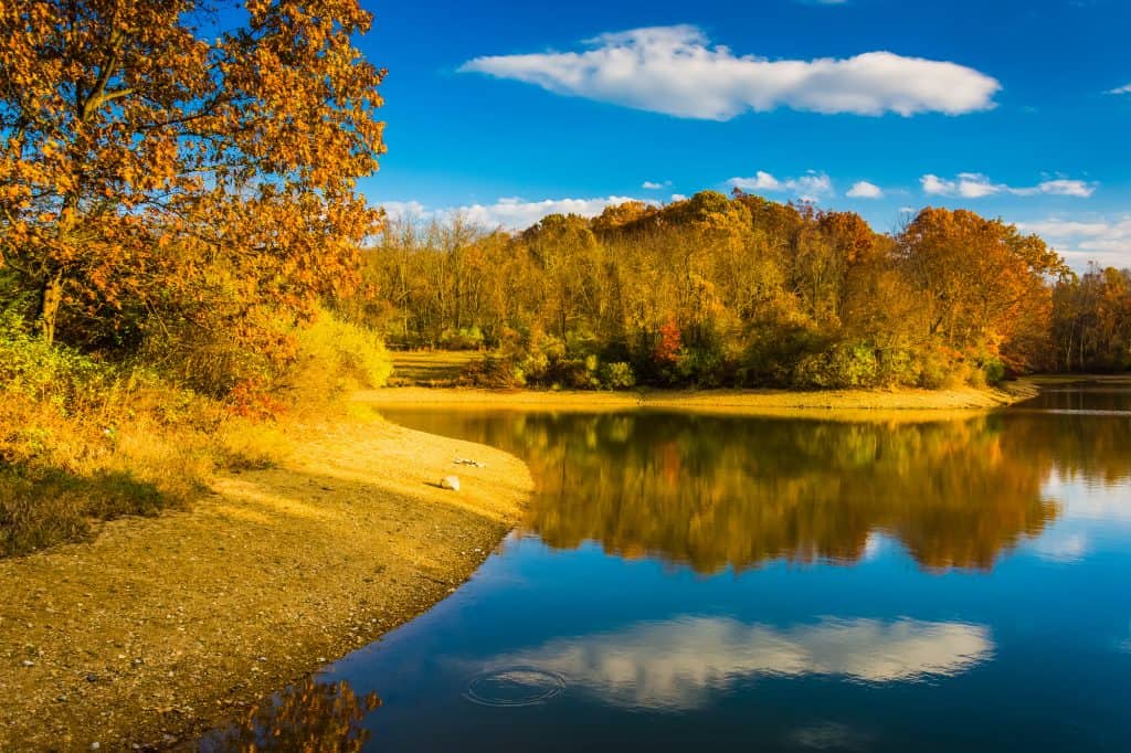 Golden autumn hues reflecting in a tranquil lakeside oasis.