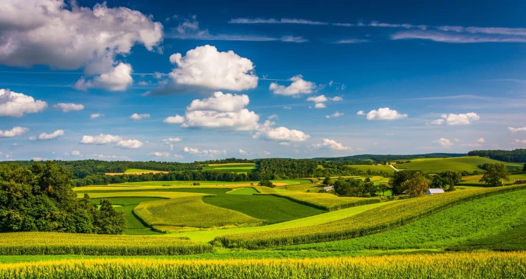 Idyllic landscape of rolling green fields under a vibrant blue sky dotted with fluffy clouds.