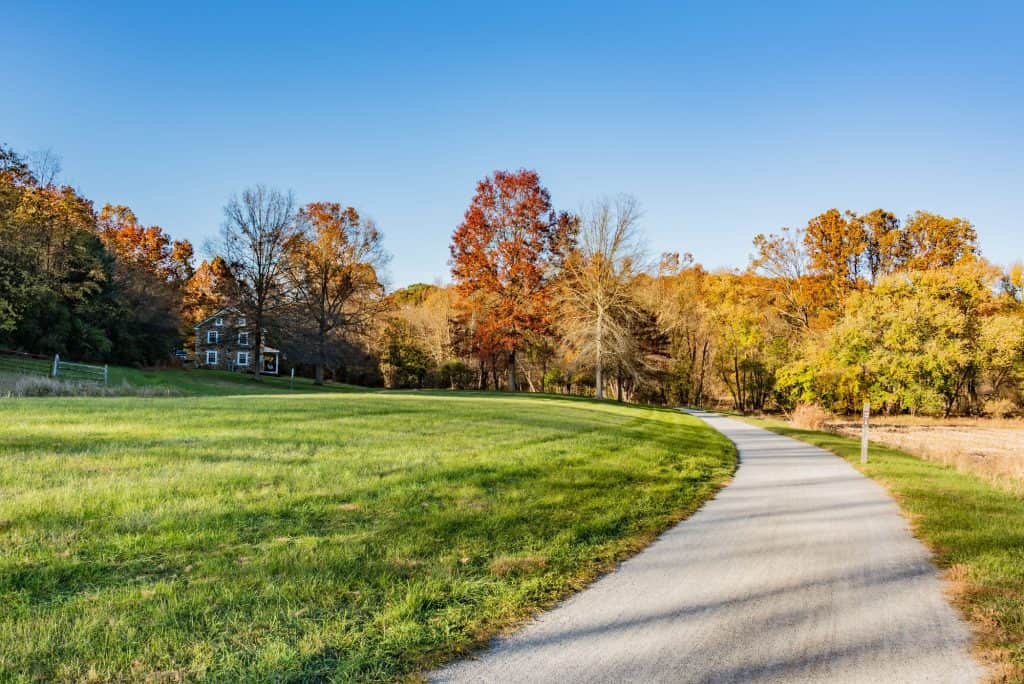 Autumnal serenity: Stone farmhouse nestled amongst vibrant foliage, a paved path winding through the picturesque landscape.
