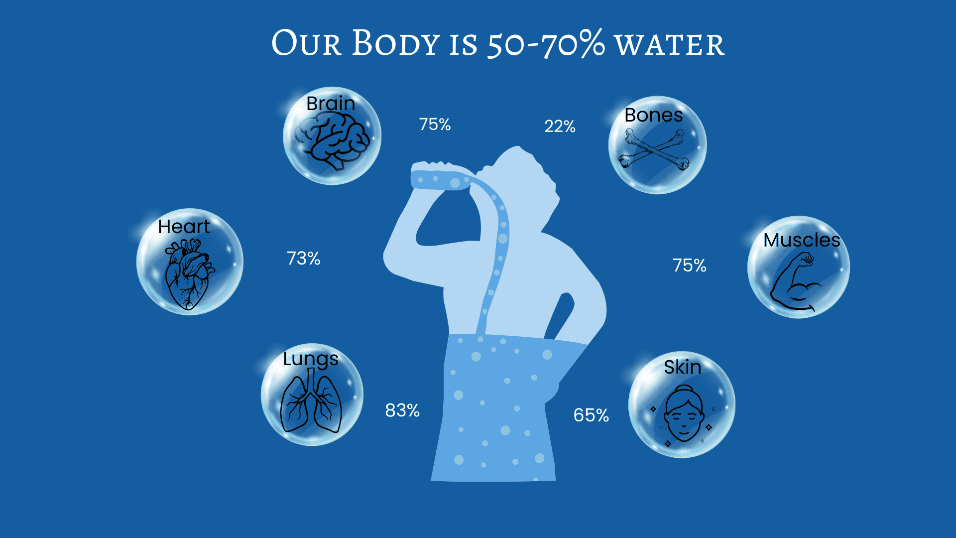 Our Body is 50-70% Water: A blue infographic showing water content in different organs - Brain (75%), Heart (73%), Lungs (83%), Bones (22%), Muscles (75%), and Skin (65%), illustrated with a silhouette drinking water in the center.