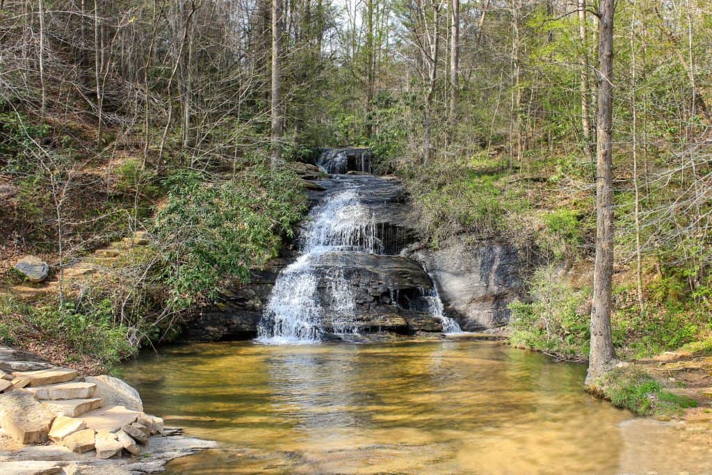 A serene cascade in the heart of the forest—nature’s perfect escape.